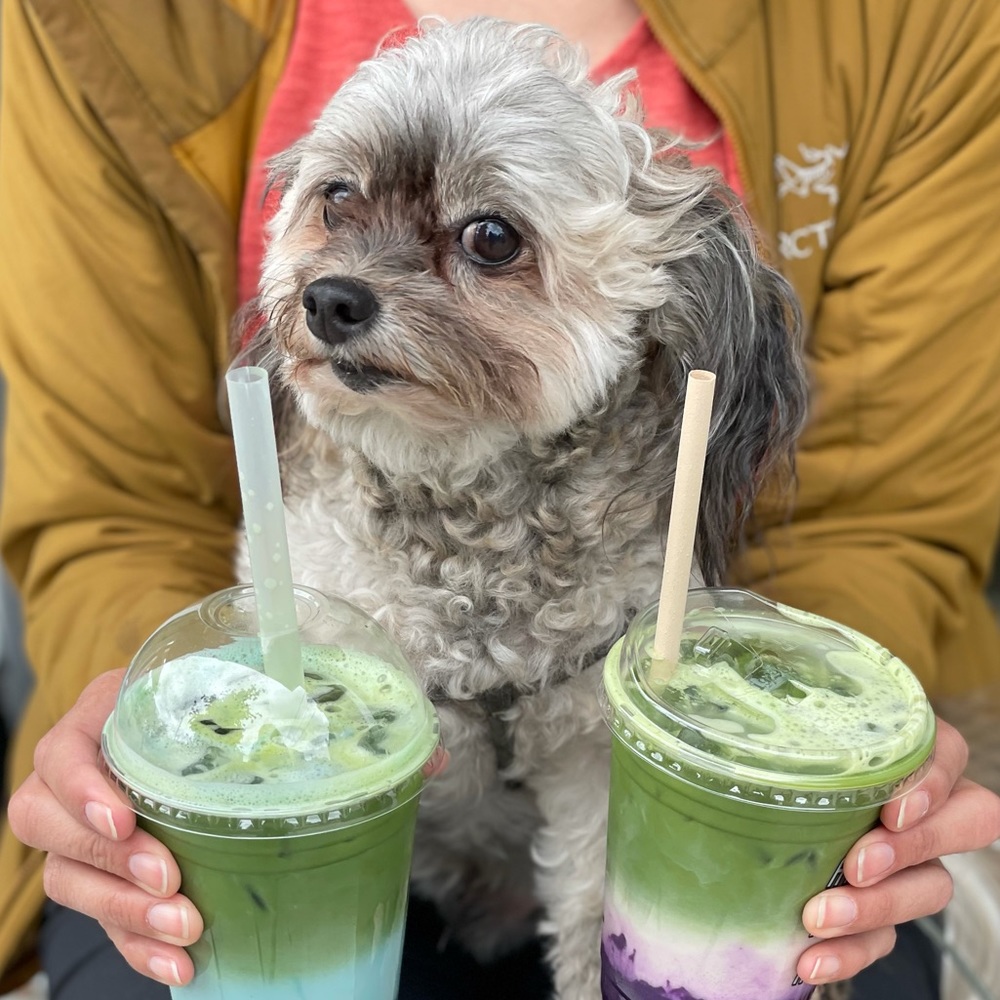 Meet your Posher, Chi